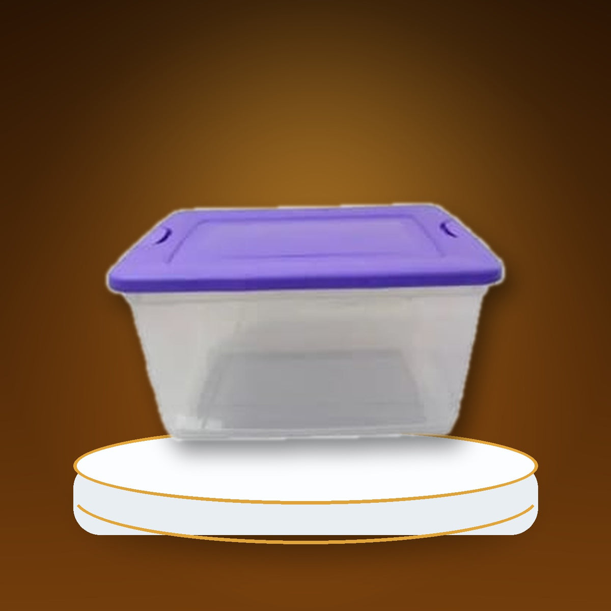 CAJA ORGANIZADORA PLAST TRANSLUCIDA 82LTS / COLORES
